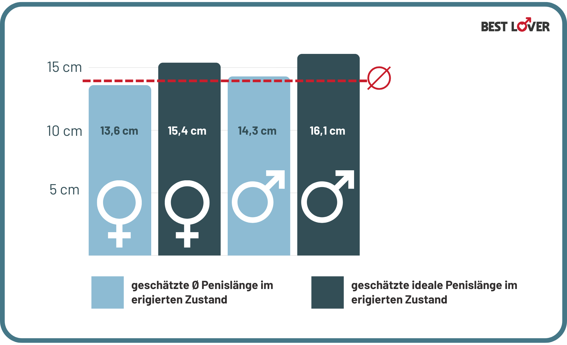 durchschnittliche Länge erigierter Penis