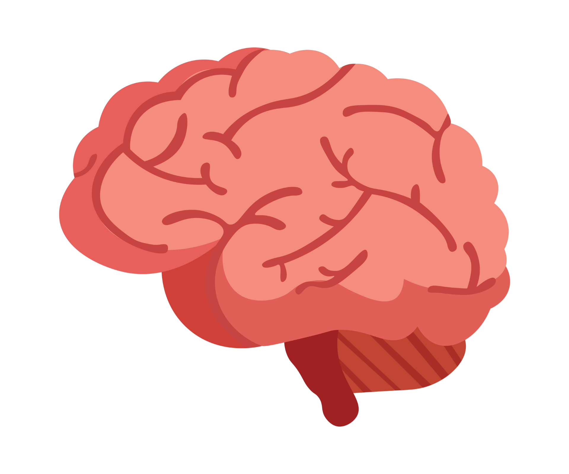 Gehirn icon Gehirn icon